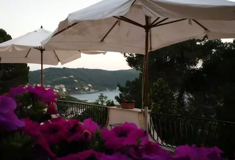 Aamiaismajoitus (B&B) Il Sogno Di Vincenzo E Maria