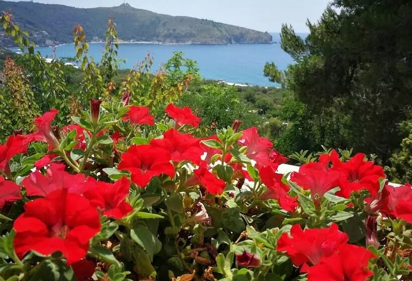 Aamiaismajoitus (B&B) Il Sogno Di Vincenzo E Maria