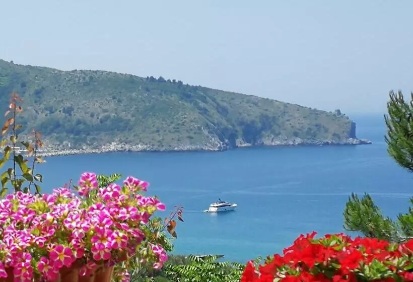 Aamiaismajoitus (B&B) Il Sogno Di Vincenzo E Maria