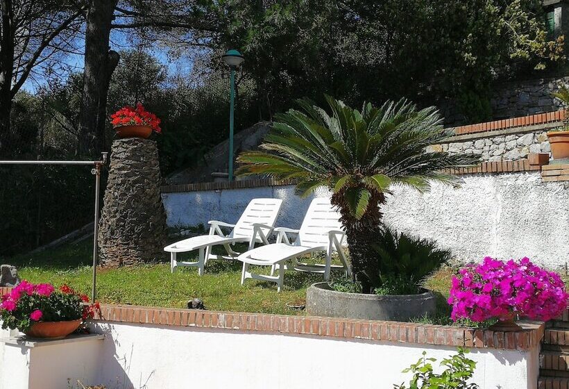 ベッドアンドブレックファースト Il Sogno Di Vincenzo E Maria