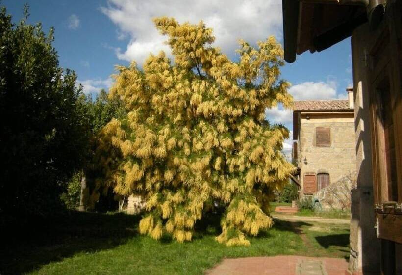 בית מלון כפרי Agriturismo Solidor