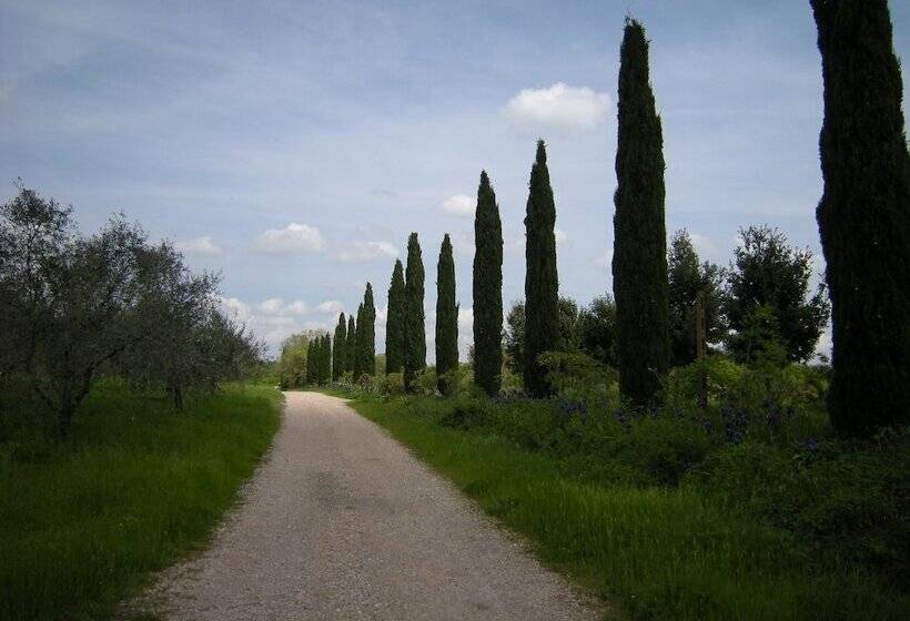 בית מלון כפרי Agriturismo Solidor