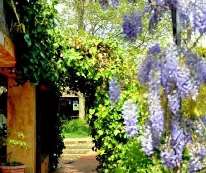 田舎風ホテル Agriturismo Solidor