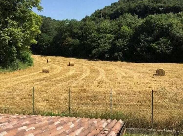ベッドアンドブレックファースト Il Casale Di Colli Sul Velino