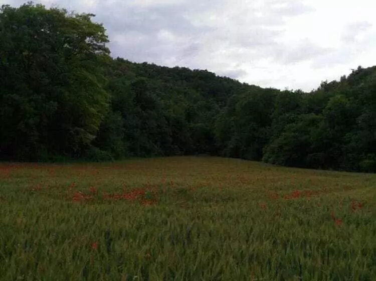 ベッドアンドブレックファースト Il Casale Di Colli Sul Velino
