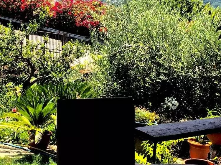 Aamiaismajoitus (B&B) Pozzo Medievale