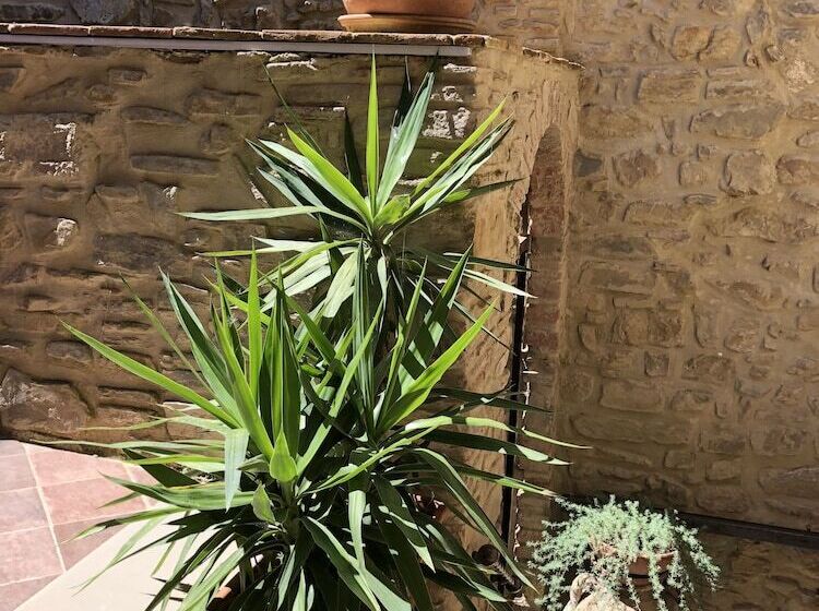 Bed and Breakfast Pozzo Medievale