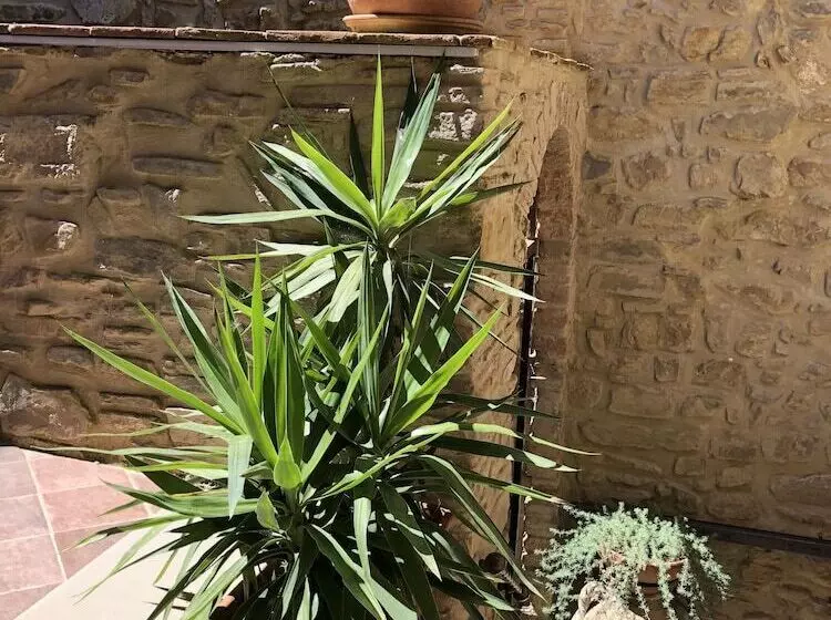 Aamiaismajoitus (B&B) Pozzo Medievale