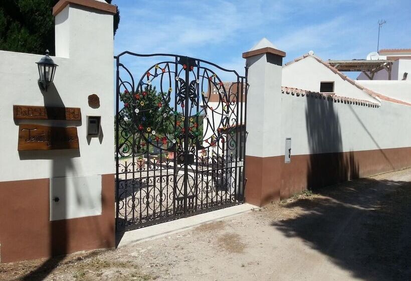 Bed and Breakfast Serra E Mesu Affittacamere