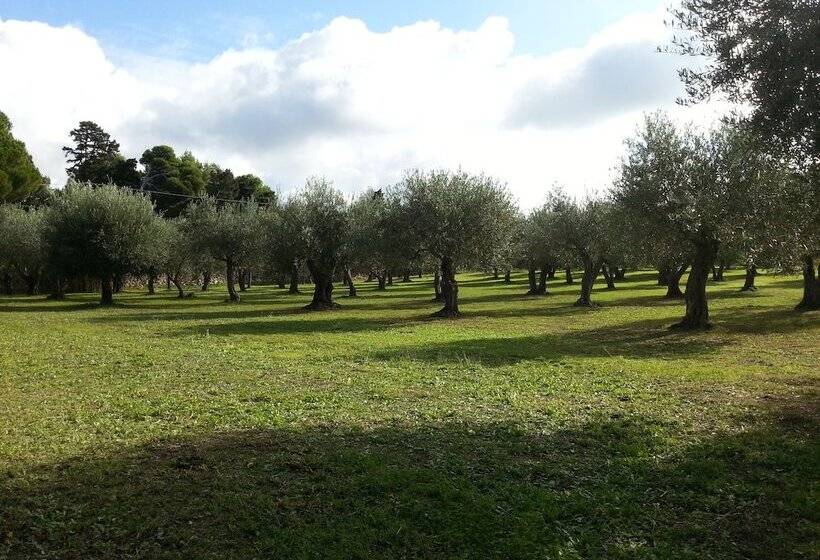 Bed and Breakfast Serra E Mesu Affittacamere