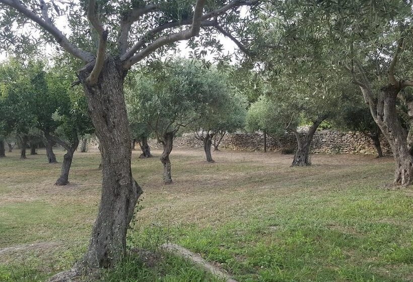 Bed and Breakfast Serra E Mesu Affittacamere