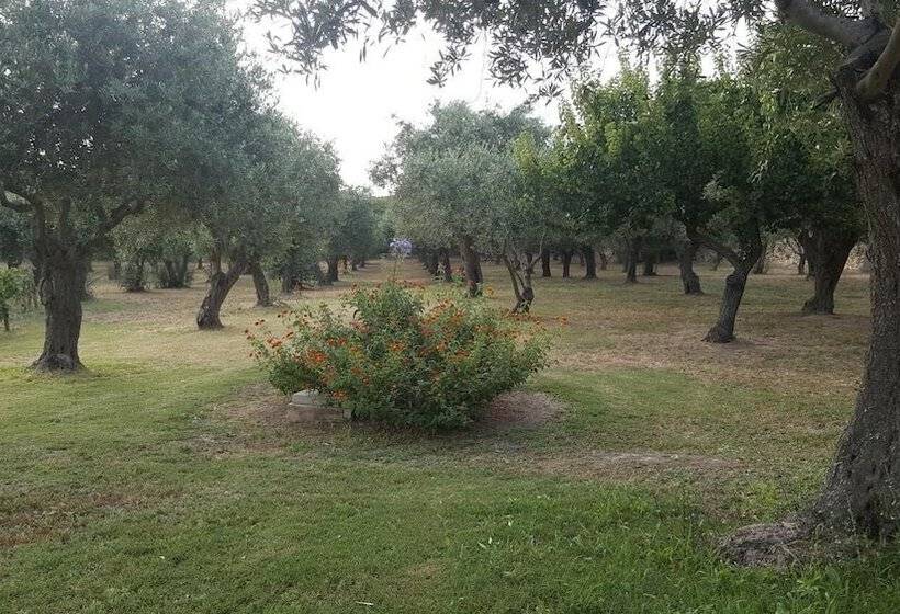 Bed and Breakfast Serra E Mesu Affittacamere