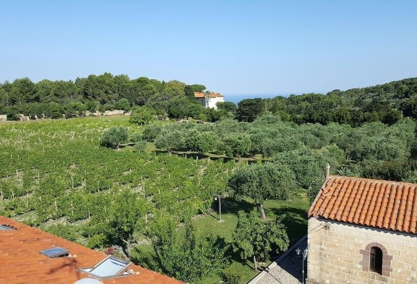 Bed and Breakfast Serra E Mesu Affittacamere