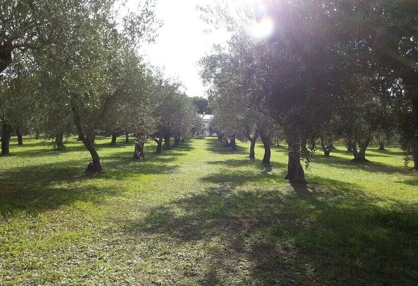 Bed and Breakfast Serra E Mesu Affittacamere