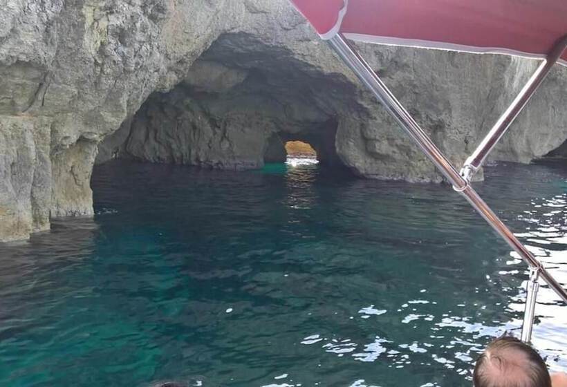 ペンション Acquarium Tropea