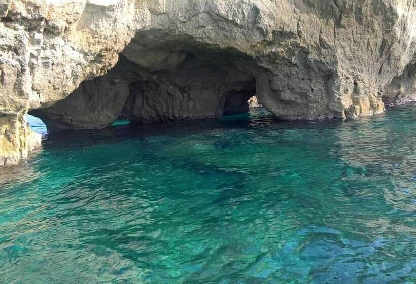 ペンション Acquarium Tropea