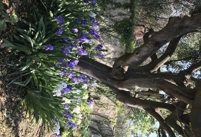 פנסיון Sirene Per Ulisse