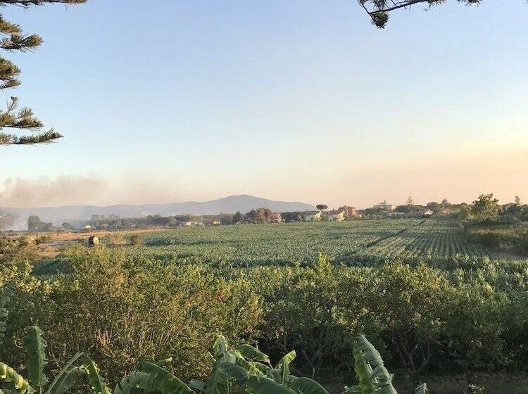 פנסיון Sirene Per Ulisse