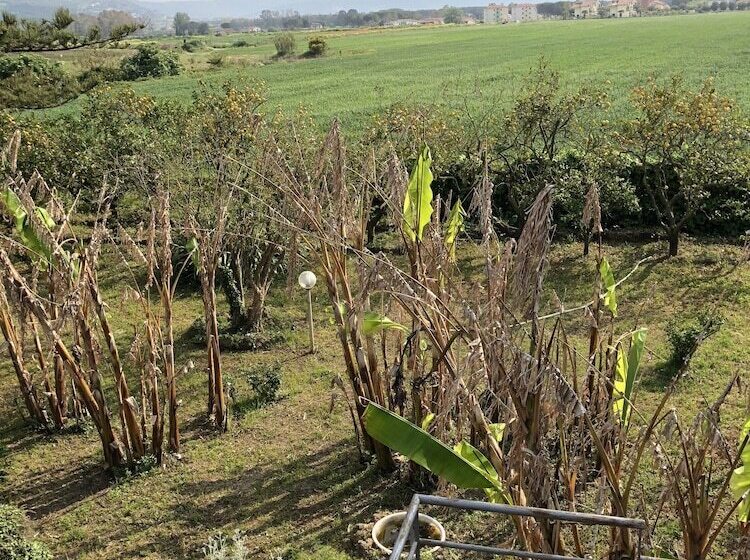 פנסיון Sirene Per Ulisse