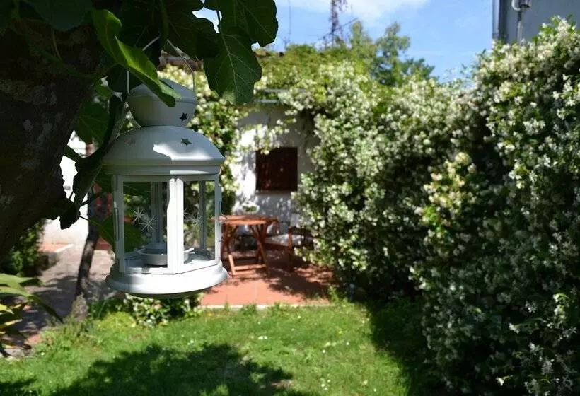Anita B&b