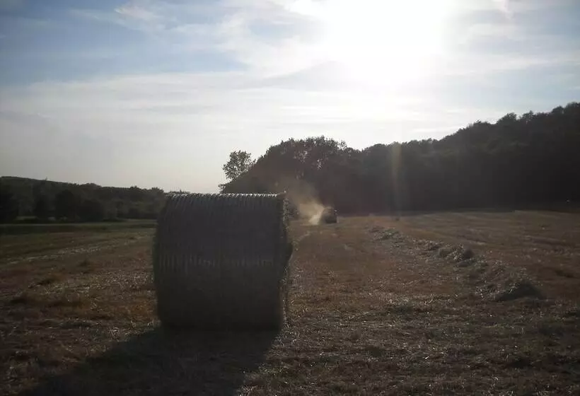Maaseutuhotelli Agriturismo Cascina Monchiero