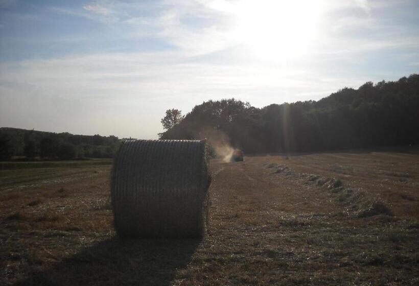 בית מלון כפרי Agriturismo Cascina Monchiero