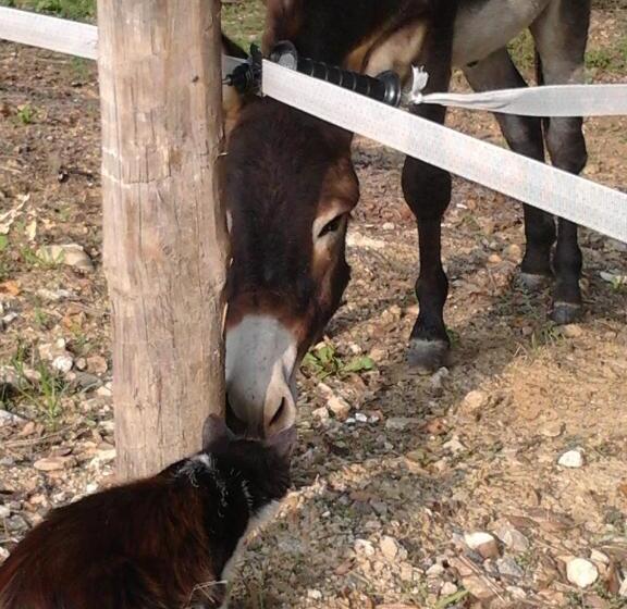 בית מלון כפרי Agriturismo Cascina Monchiero