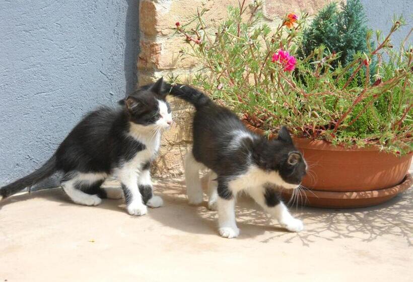 בית מלון כפרי Agriturismo Cascina Monchiero