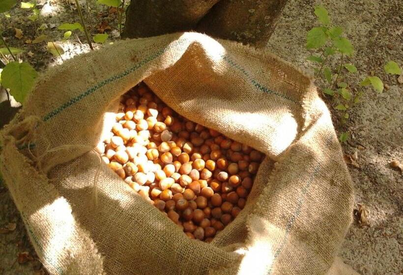 בית מלון כפרי Agriturismo Cascina Monchiero