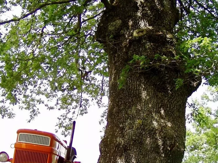 Maaseutuhotelli All Antico Silbule