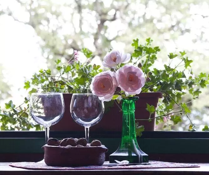 Maaseutuhotelli All Antico Silbule