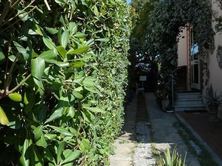 ペンション Maison De Dora B&b