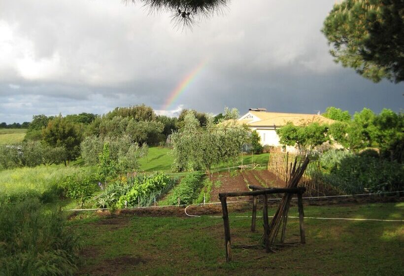 膳宿费 Suncave Gardens Naturist