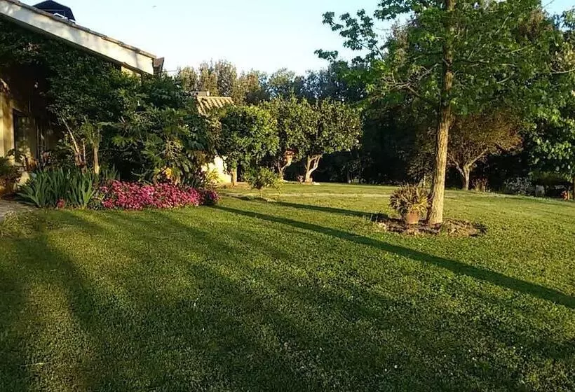 ペンション Suncave Gardens Naturist