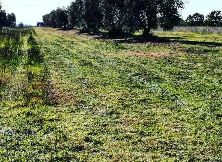 Agriturismo Podernuovo