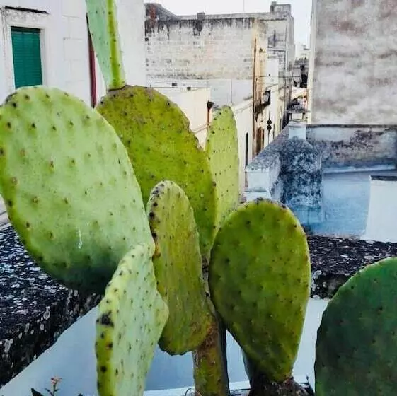 Aamiaismajoitus (B&B) Il Borgo