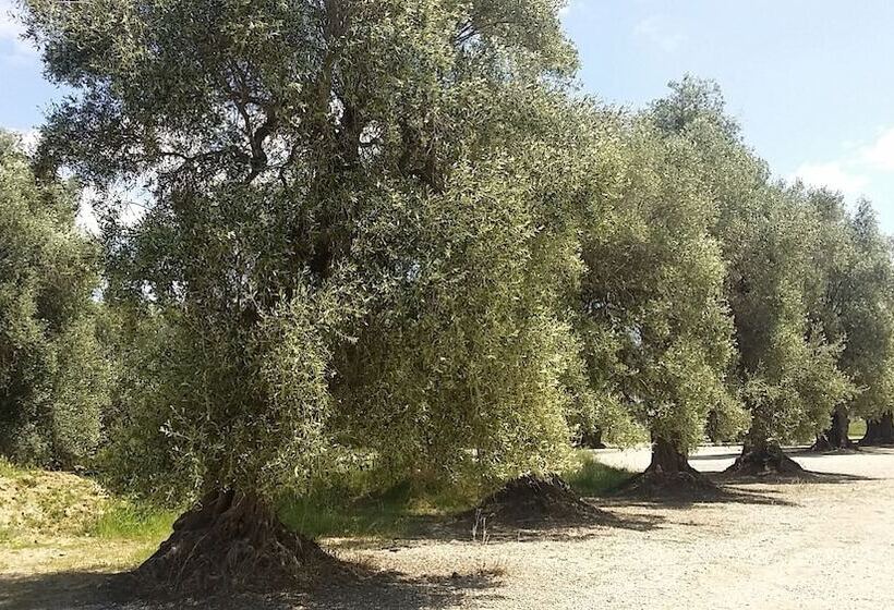 פונדק Il Filaro Del Castello Di San Basilio