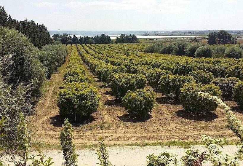 פונדק Il Filaro Del Castello Di San Basilio