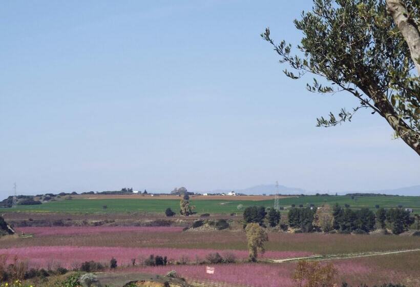 פונדק Il Filaro Del Castello Di San Basilio