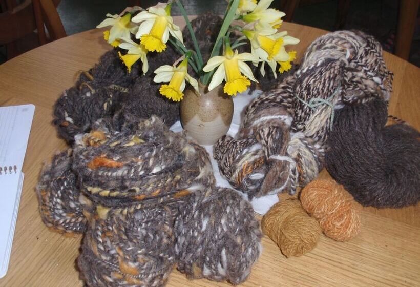 酒店 Ariundle Accommodation