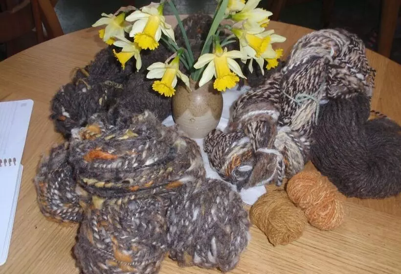 Hotel Ariundle Accommodation