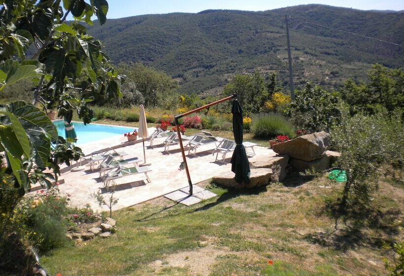 Сельский отель Agriturismo Casale Della Torre