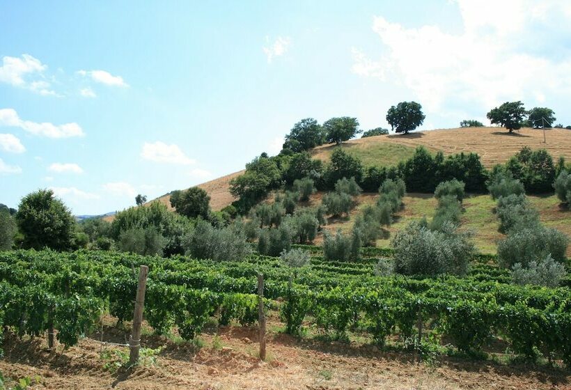 בית מלון כפרי Agriturismo Serratone