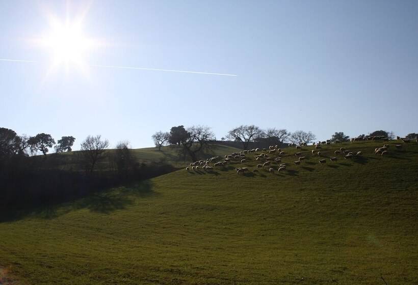 בית מלון כפרי Agriturismo Serratone