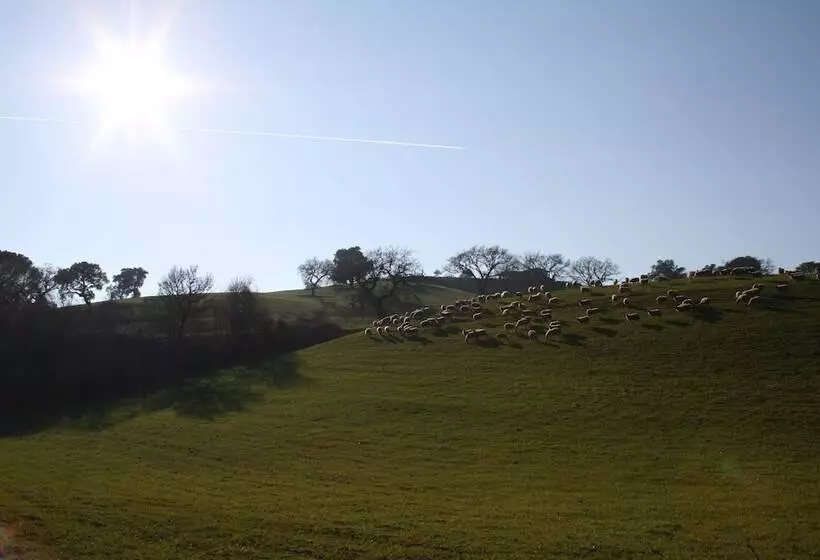 田舎風ホテル Agriturismo Serratone