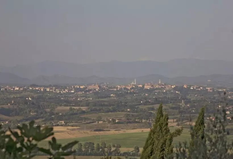 田舎風ホテル Azienda Agricola Montestigliano