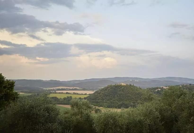 田舎風ホテル Azienda Agricola Montestigliano