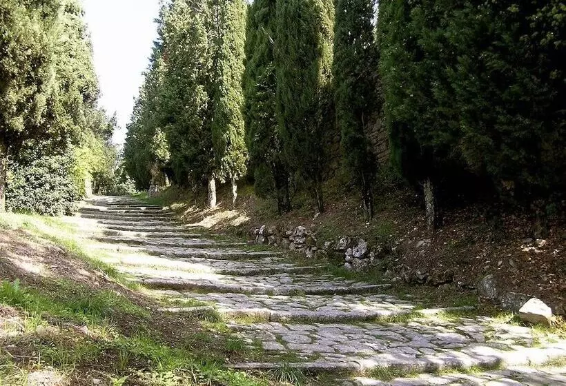 田舎風ホテル Ventena Vecchia Antico Frantoio