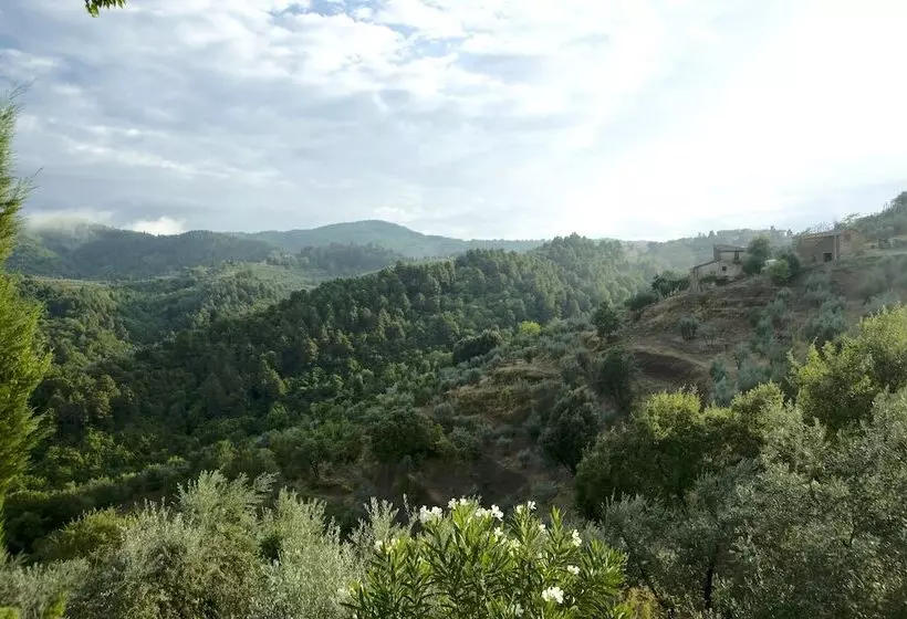 田舎風ホテル Ventena Vecchia Antico Frantoio