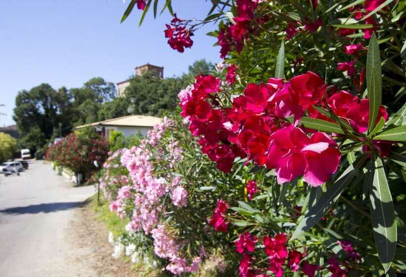 Bed and Breakfast Valle Dell Eden